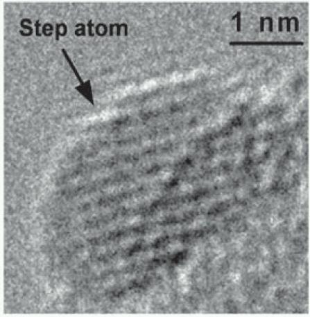 Shapes of nanoparticles with cubic symmetry